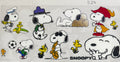 #529 Snoopy
