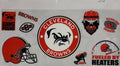 #258 Cleveland Browns