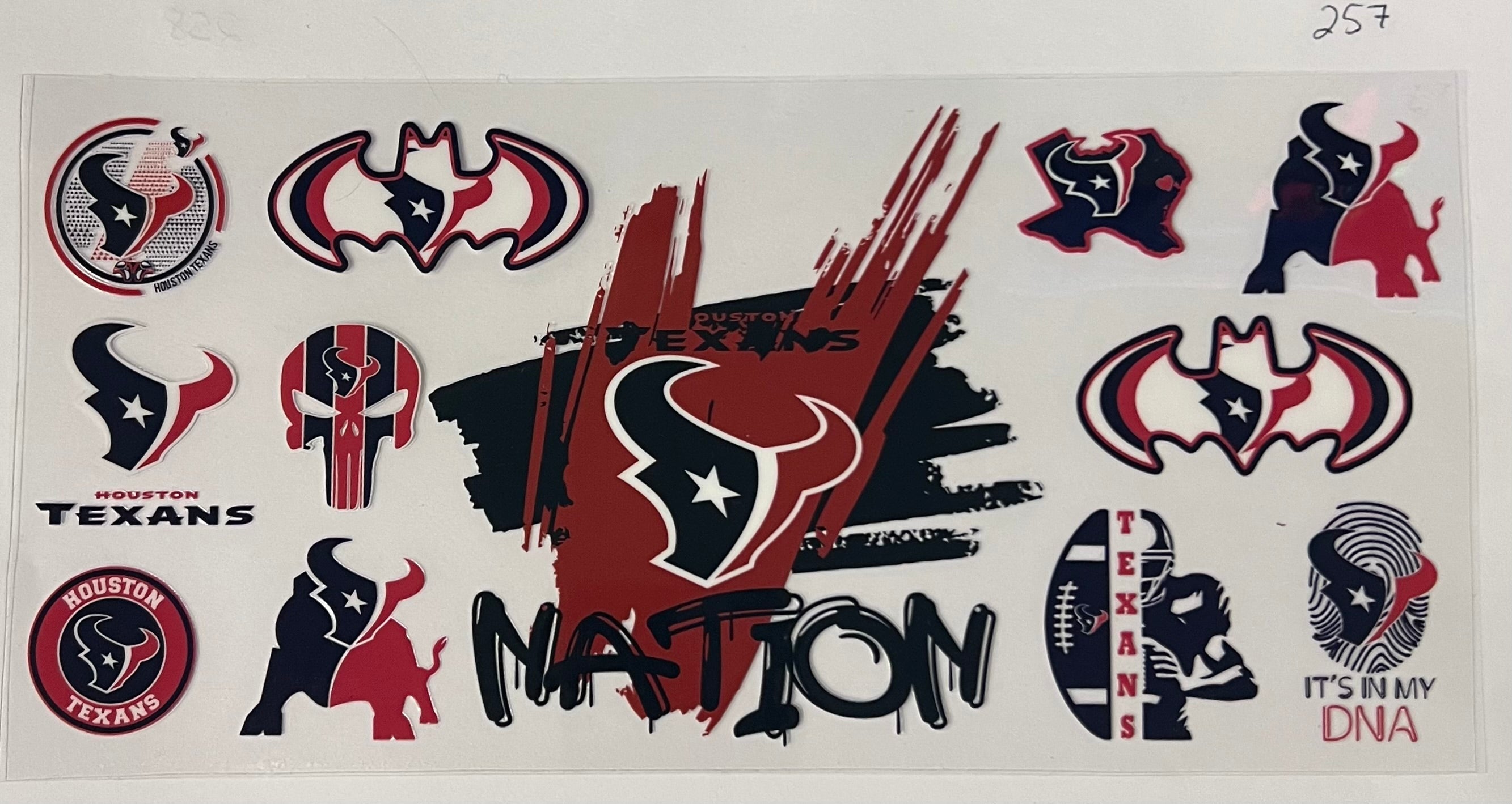 #257 Houston Texans