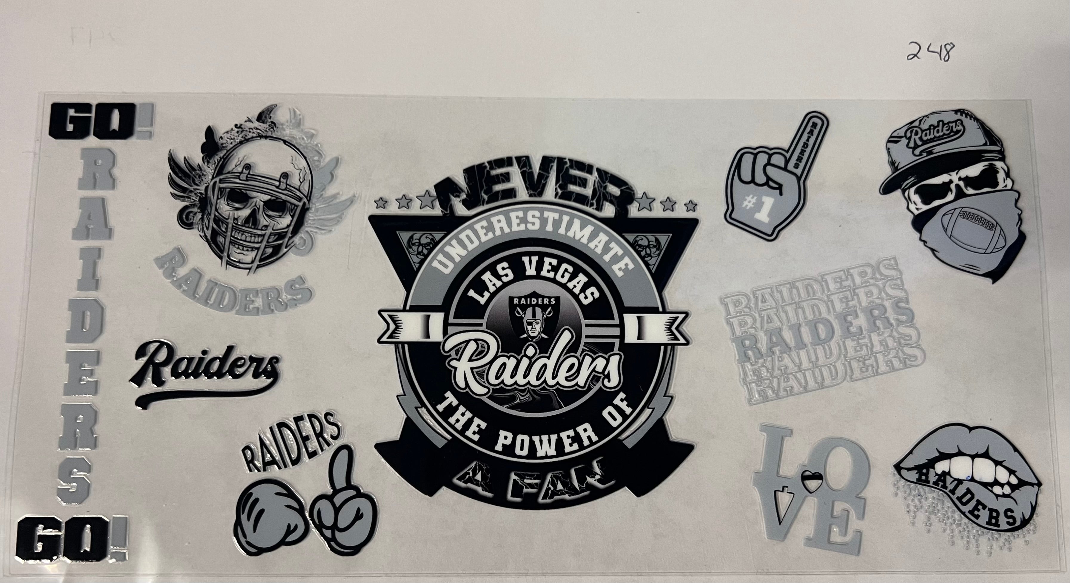 #248 Las Vegas Raiders