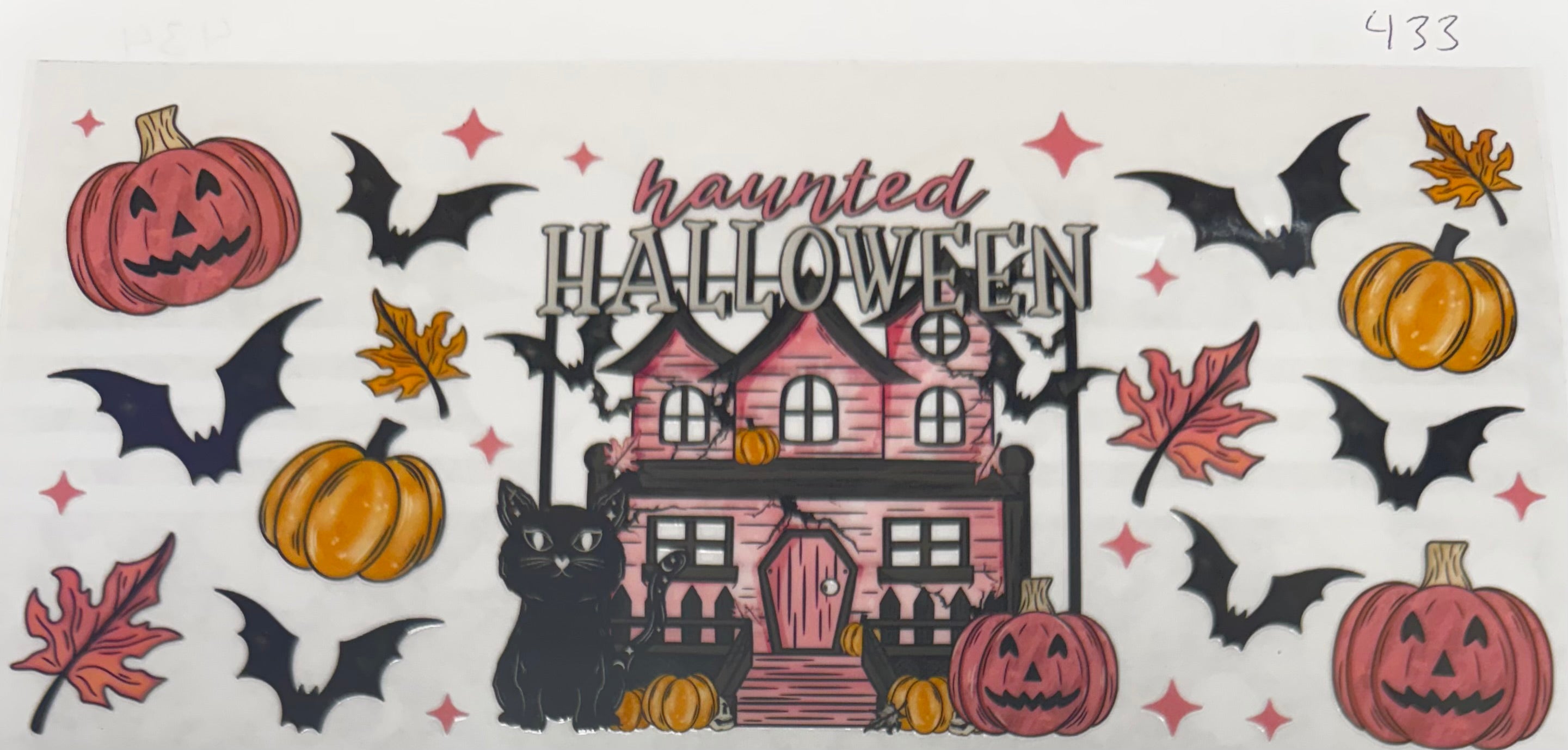 #433 Haunted Halloween house
