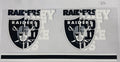 #251 Raiders