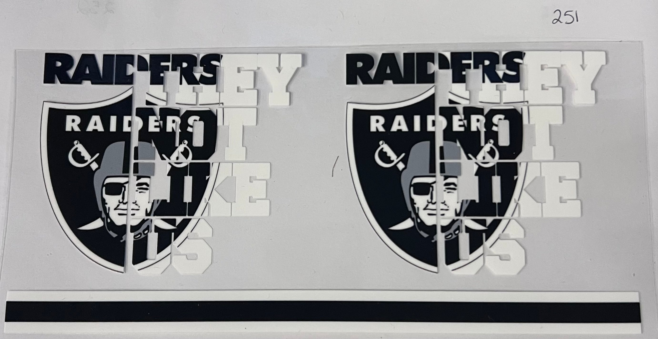 #251 Raiders