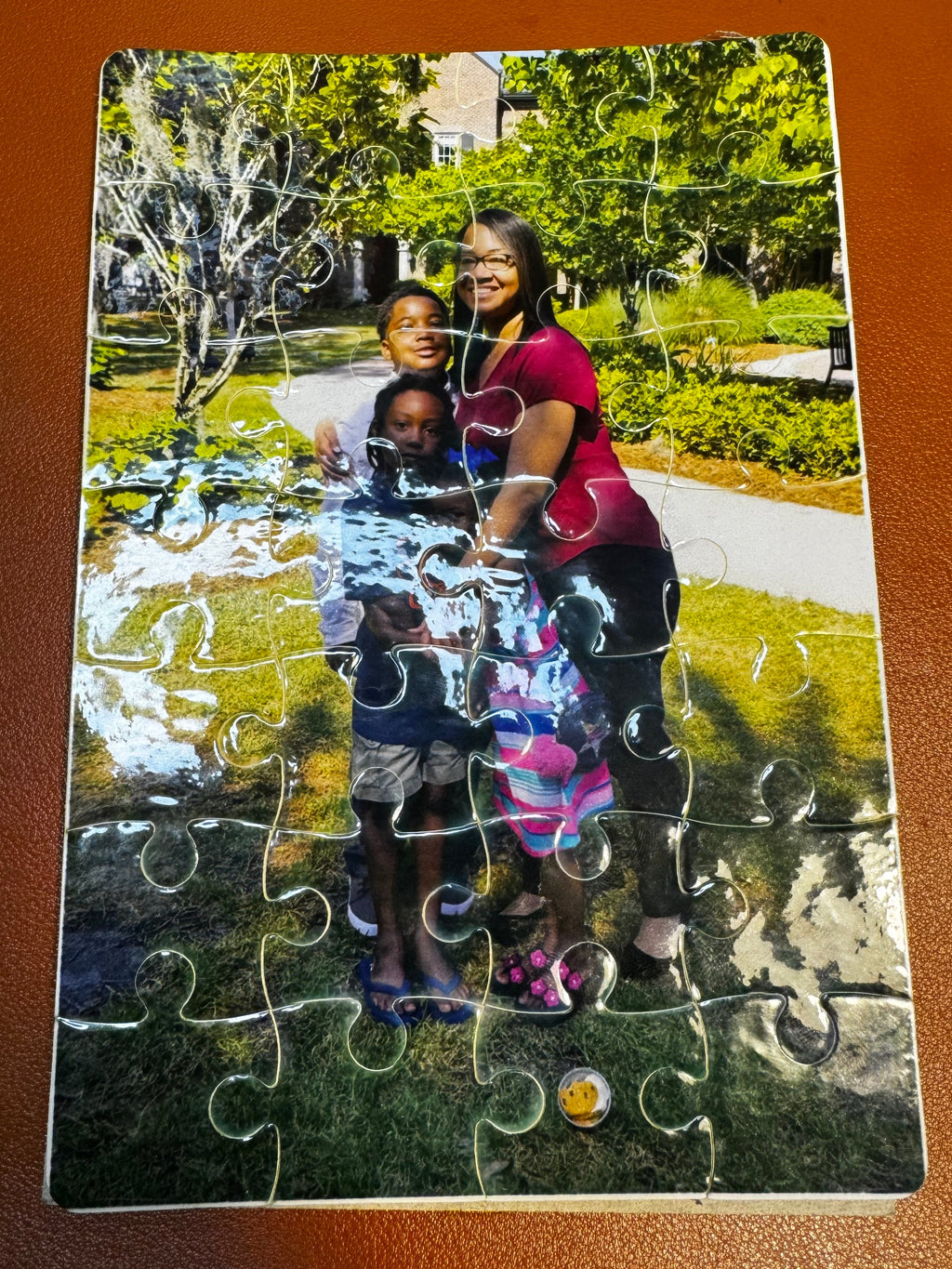 Sublimation Puzzles