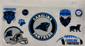 #254 Carolina Panthers