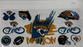 #256 Jacksonville Jaguars