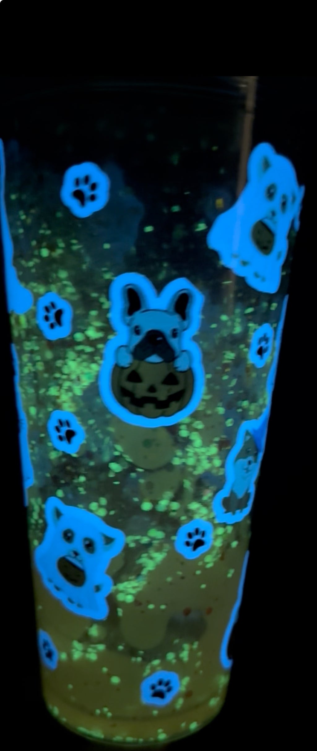 Dog Glow in The Dark