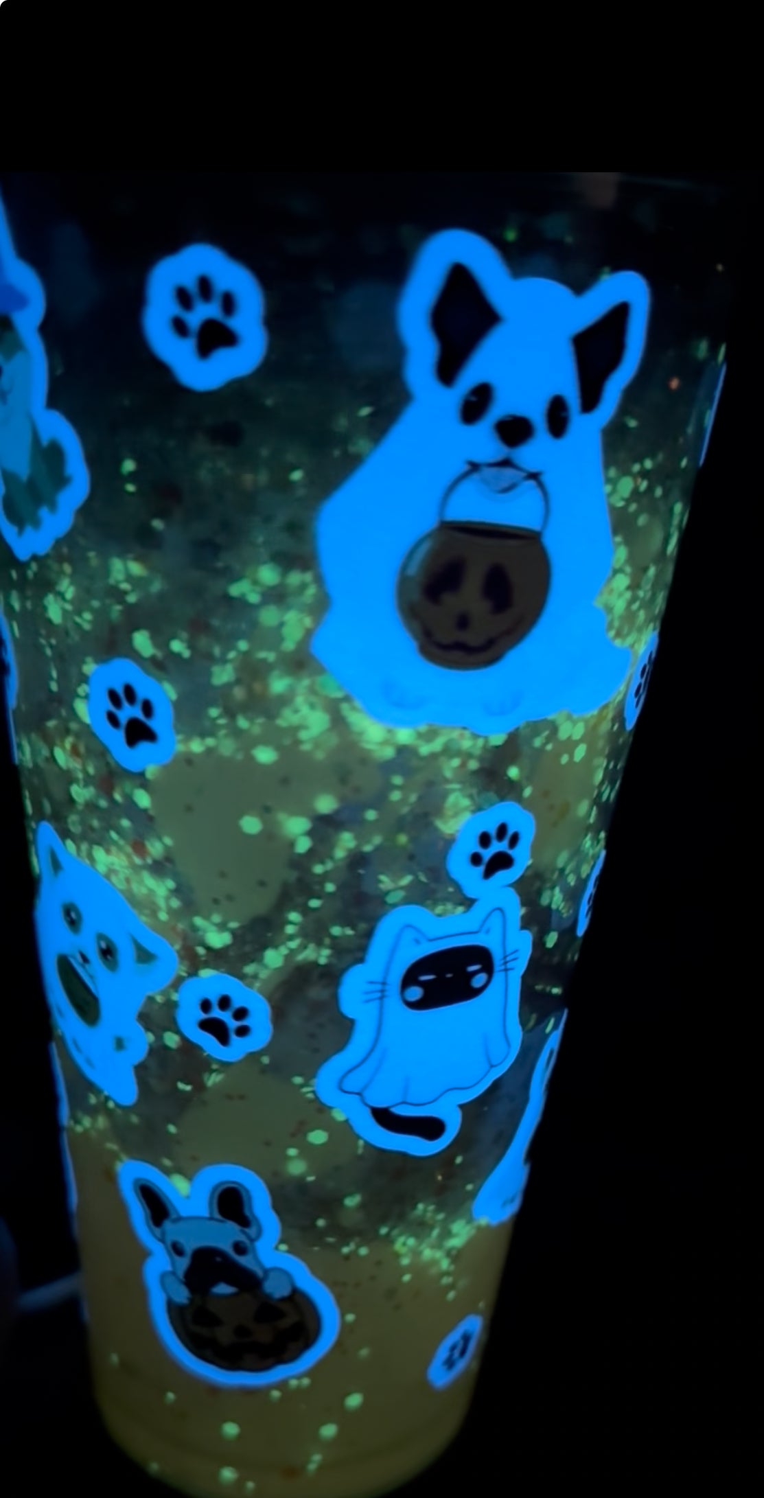 Dog Glow in The Dark